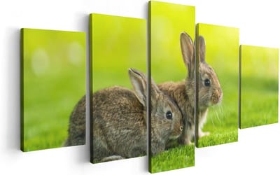 Artaza Canvas Schilderij Vijfluik Twee Konijnen Op Het Groene Gras - 100x50 - Foto Op Canvas - Canvas Print