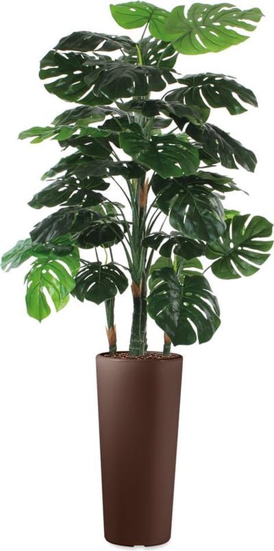 HTT - Kunstplant Monstera in Clou rond bruin H195 cm
