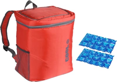 Koeltas rugtas/rugzak rood met 2 stuks flexibele koelelementen 16 liter