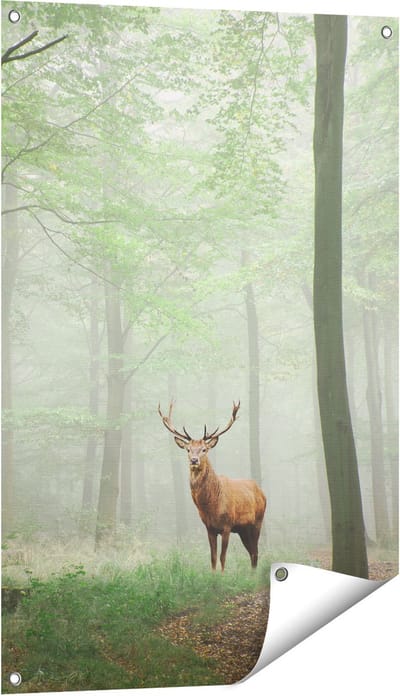 Gards Tuinposter Hert in Bos - 60x90 cm - Tuindoek - Tuindecoratie - Wanddecoratie buiten - Tuinschilderij