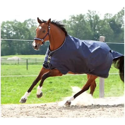 Outdoor paardendeken Kavalkade Montreal 100 g