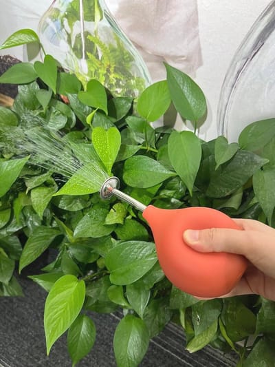 Gietsproeier met roestvrij stalen schenktuit - Perfect voor kleine planten en stekken
