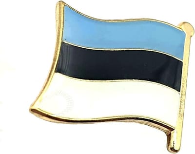 Estland Vlag Pin - Embleem Badge - Accessoire Dragen - Metalen Emaille - 6.4 x 2.6 cm - Blauw Geel