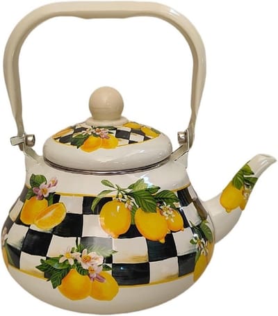 Theeketel Emaille - Waterkoker Ketel - Water Koken - Ergonomisch Handvat - 1.7L - One Color