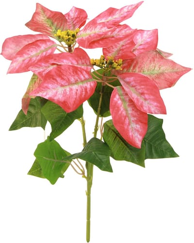 Kunst Poinsettia Rood Roze L35cm 6st 2 bosjes, 6 Stück
