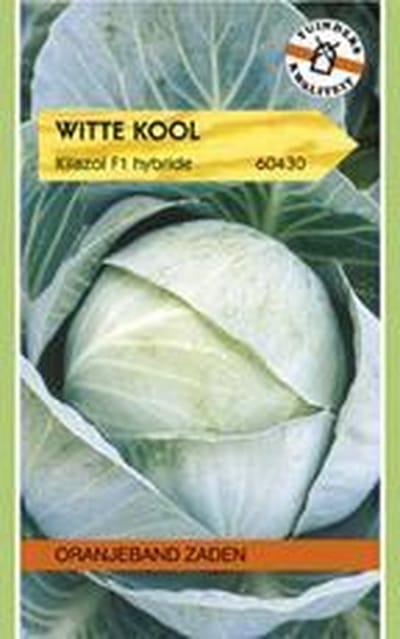 Oranjebandzaden -  Witte Kool Kilazol F1