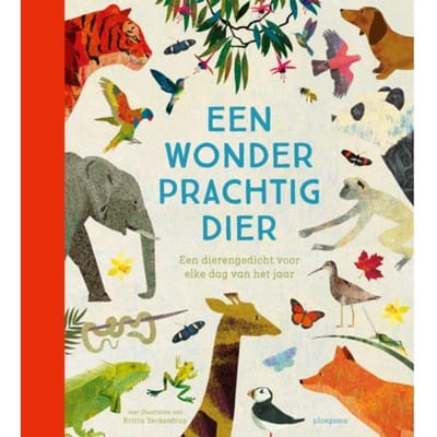 Een Wonderprachtig Dier - Voorleesbundels - Diverse auteurs