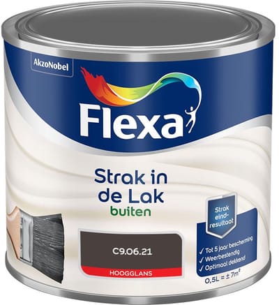 Flexa - Strak In De Lak Buitenlak Hoogglans - C9.06.21 - Mengverf - 500 Ml