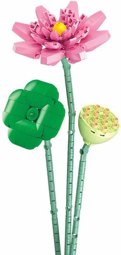 Sluban Lotus bouwspeelgoed kinderen vanaf 10 jaar – Constructiespeelgoed modelbouw – bouwdoos met 254 bouwstenen – M38‑B1101‑06