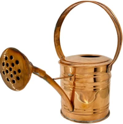 Koperen Gieter - Handgemaakt Tuin Gerei - Planten Water Geven - Artisanale Productie - 32 x 26 x 13 cm