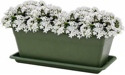 Plasticforte Plantenbak met water opvangschotel - donkergroen - rechthoek - 50 x 18 x 15 cm - balkon - terras - kunststof