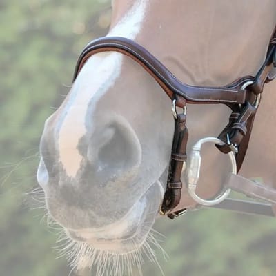 Combinatie paardenneusriem Jump'In One New York