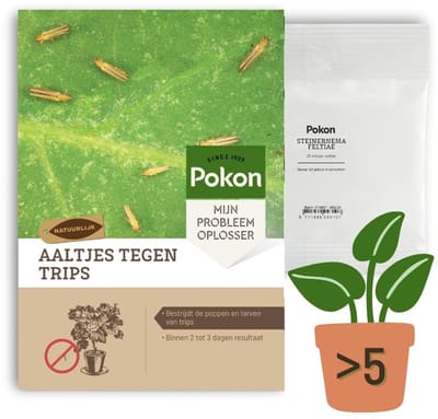 Pokon Aaltjes tegen Trips - 25 miljoen Aaltjes voor meer dan 5 kamerplanten - Natuurlijke tripsbestrijding - Resultaat binnen 2 tot 3 dagen