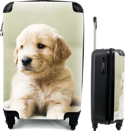 MuchoWow® Koffer - Golden Retriever puppy liggend op de bank - Past binnen 55x40x20 cm en 55x35x25 cm - Handbagage - Trolley - Cabin Size - Print