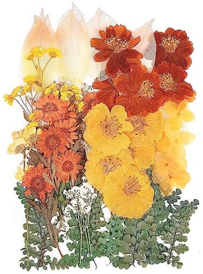 100 Stuks Natuurlijke Geperste Gedroogde Bloembladeren voor Doe-Het-Zelf Hars Sieraden Maken - 20 Stijlen Geel Oranje