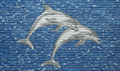 1x Friedola Universele Mat Dolphin | 80x48cm | Badmat Badkamermat Douchemat | Dolfijn