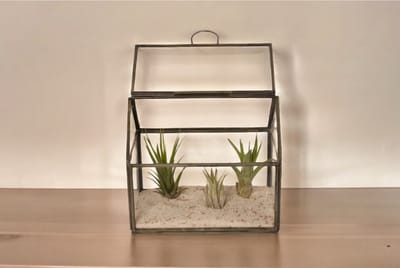 WinQ- Terrarium van glas met grijs metaal 17x11x15cm-plantenterrarium