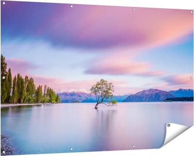 Gards Tuinposter Wanaka Boom in het Water bij Zonsopgang - 150x100 cm - Tuindoek - Tuindecoratie - Wanddecoratie buiten - Tuinschilderij