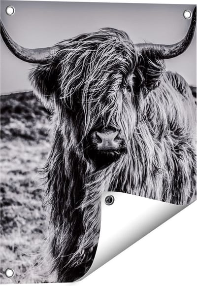Gards Tuinposter Schotse Hooglander Koe - Zwart Wit - 40x50 cm - Tuindoek - Tuindecoratie - Wanddecoratie buiten - Tuinschilderij