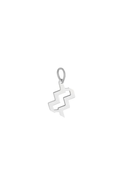 Hanger - chinees sterrenbeeld - zilver - stainless steel - kado - kerst