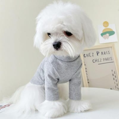 T-shirt pour chien, vêtements pour chiot, t-shirt respirant pour chien, pull tendance pour chat, sweat-shirt uni mignon pour animaux de compagnie, vêtements pour chien chihuahua S
