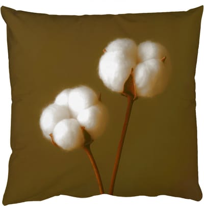 Sierkussens - Kussentjes Woonkamer - 50x50 cm - Takken - Katoen - Wit - Bollen