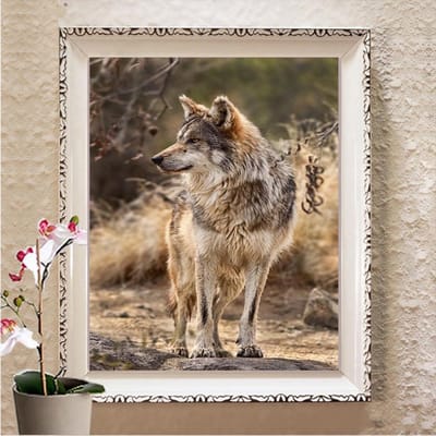 5D Diy Diamant Schilderen Kruissteek Volledige Vierkante Boor Diamant Borduren Foto Thuis Wanddecoratie Full Square 20X30CM