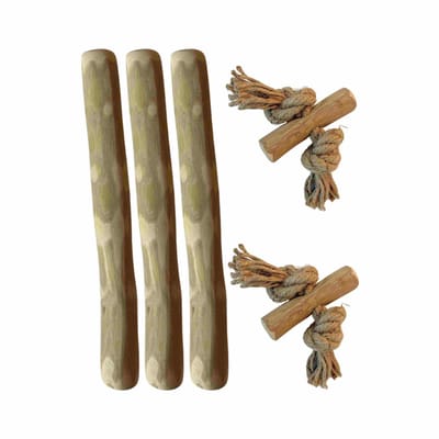 Boris & Lotje Puppypakket - Natuurlijk kauwen en spelen - Honden speelgoed - Kauwbotten hond - puppy speelgoed - Startersbox puppy - XXS, Pups tot 3 kg