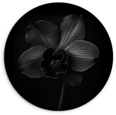 WallCircle® Wandcirkel 120x120 cm - Muurcirkel Zwart - Bloem - Orchidee - Muurdecoratie woonkamer - Wanddecoratie slaapkamer - Kamer decoratie accessoires - Ronde schilderijen XXL