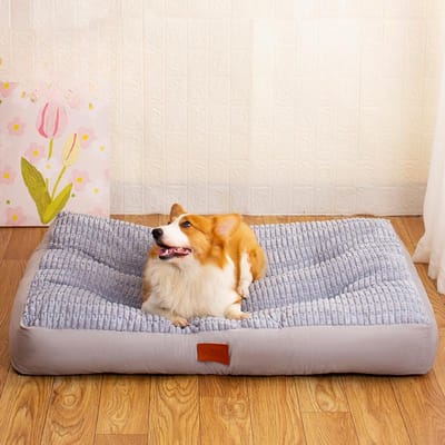 Nouveau Grand Tapis de Couchage Rayé pour Animaux de Compagnie Rayé Résistant à l'Usure Antidérapant Niche pour Chat Universelle Quatre Saisons Litière pour Chat Niche pour Chien S(60*50)
