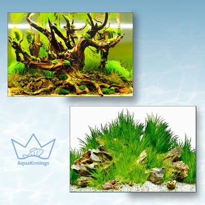 AquaKonings Aquarium Poster – Waterdicht - Decoratie Vis Poster - Aquarium Decoratie - Aquarium Wand - 150x40 cm - K