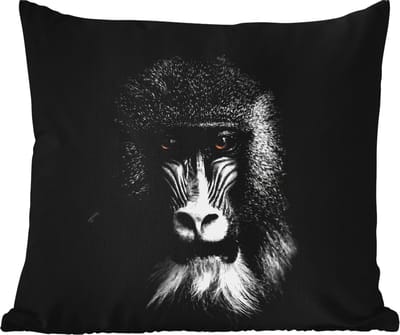 Tuinkussen - Aap - Dieren - Ogen - Bruin - Zwart wit - 40x40 cm - Weerbestendig