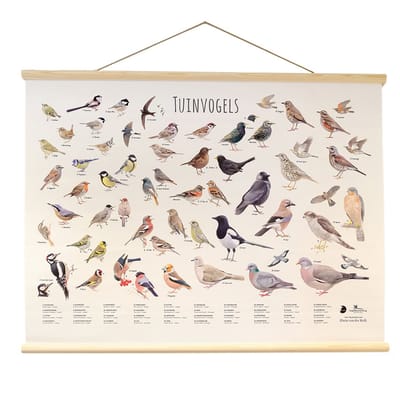 CJ Wildlife - Tuinvogels wandposter - Getekend door Elwin van der Klok - Poster vogels - Cadeau