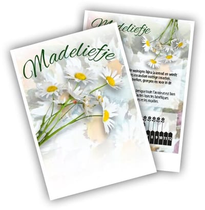 Cadeau premium Madelief (100 zakjes)