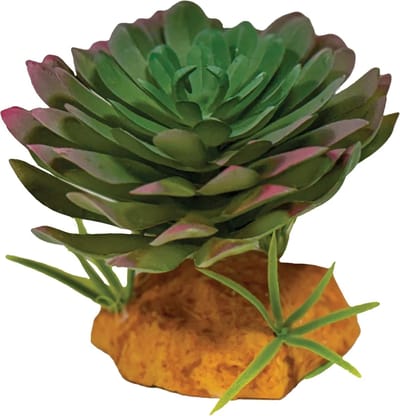 Repto Kunstplant Echeveria voor terrarium 17 cm schuilplaats voor reptielen