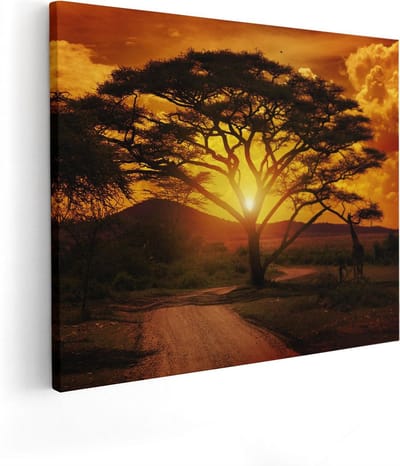 Artaza Canvas Schilderij Zonsondergang Afrika - 50x40 cm - Wanddecoratie Boom - Muurdecoratie Savanne - Schilderijen Op Canvas