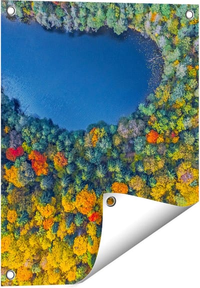 Gards Tuinposter Kleurrijke Bos met Bomen naast een Meer - 40x50 cm - Tuindoek - Tuindecoratie - Wanddecoratie buiten - Tuinschilderij