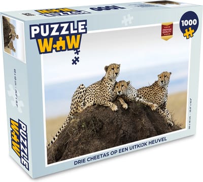 Puzzel Drie cheetas op een uitkijk heuvel - Legpuzzel - Puzzel 1000 stukjes volwassenen