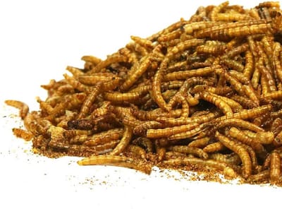 SnelShoppen - Gedroogde Meelwormen voor Tuinvogels - Natuurlijke Snack voor Tuindieren - 2,5L Voedzaam Voer - Ideaal voor Vogelhuisjes en Tuinen