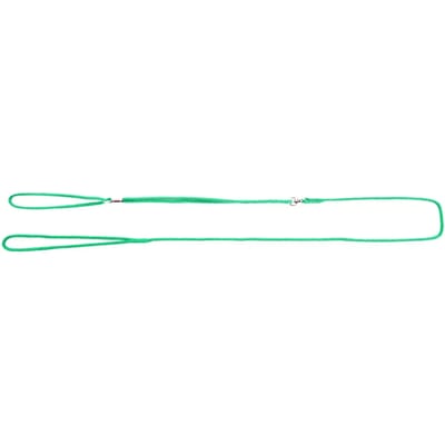 Nylon hondenriem Martin Sellier Present