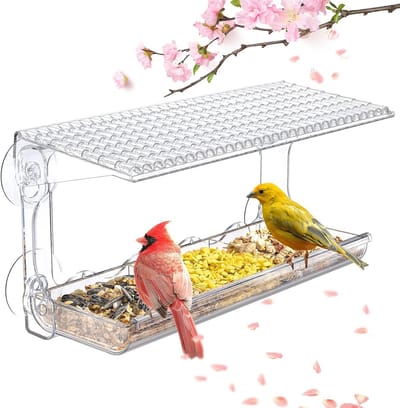 Doorzichtige Raamvogelvoeder Met Sterke Zuignappen - Transparant Vogelhuisje Voor Buiten - Geschikt Voor Tuin En Balkon - Eenvoudig Te Bevestigen - Afmeting 28x11 Cm