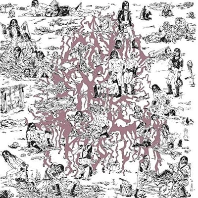 The Soft Pink Truth - Why Do The Heathen Rage? (CD)