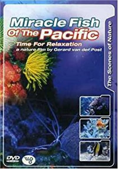 Miracle Fish -Relaxation-