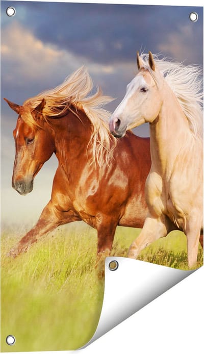 Gards Tuinposter Bruin en Wit Paard in de Wei - 40x60 cm - Tuindoek - Tuindecoratie - Wanddecoratie buiten - Tuinschilderij