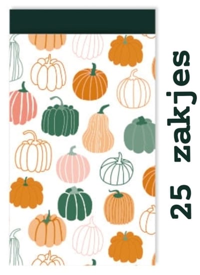 25x Cadeauzakje pumpkins 12x19cm