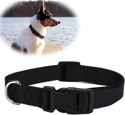 Zachte, Verstelbare Hondenhalsband van Neopreen en Nylon voor Kleine Honden, Reflecterend en Geschikt voor Training, Zwart