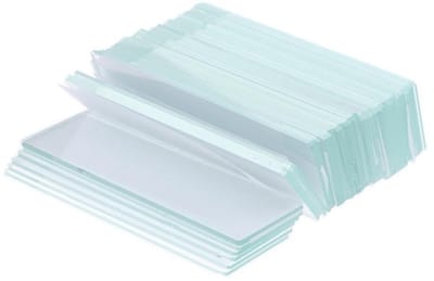 Set van 100 microscopische preparaten, 50 x 24 mm, voor laboratoriumgebruik, schoon en klaar voor gebruik, ideaal voor wetenschappelijk onderzoek