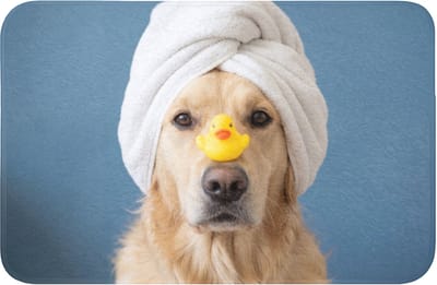 WC mat 60x40 cm - Antislip - Hond - Badeend - Geel - Toiletmat - Vloermat - Douchemat - Toilet tapijt - Toiletmatten