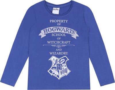 Blauwe en zilveren HOGWARTS Harry Potter blouse