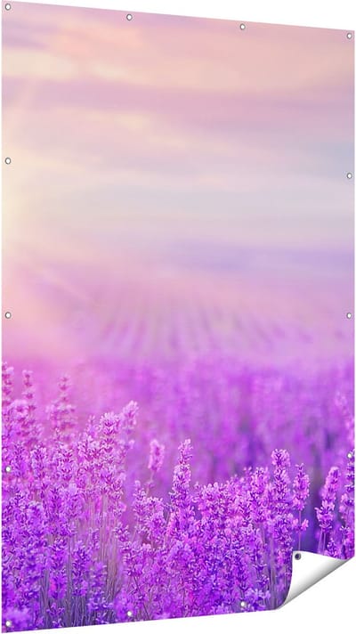 Gards Tuinposter Bloemenveld met Paarse Lavendel - 120x180 cm - Tuindoek - Tuindecoratie - Wanddecoratie buiten - Tuinschilderij